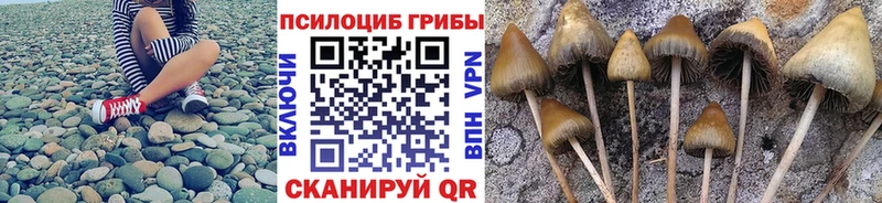 shop состав что такое Поворино Галлюциногенные грибы прущие грибы